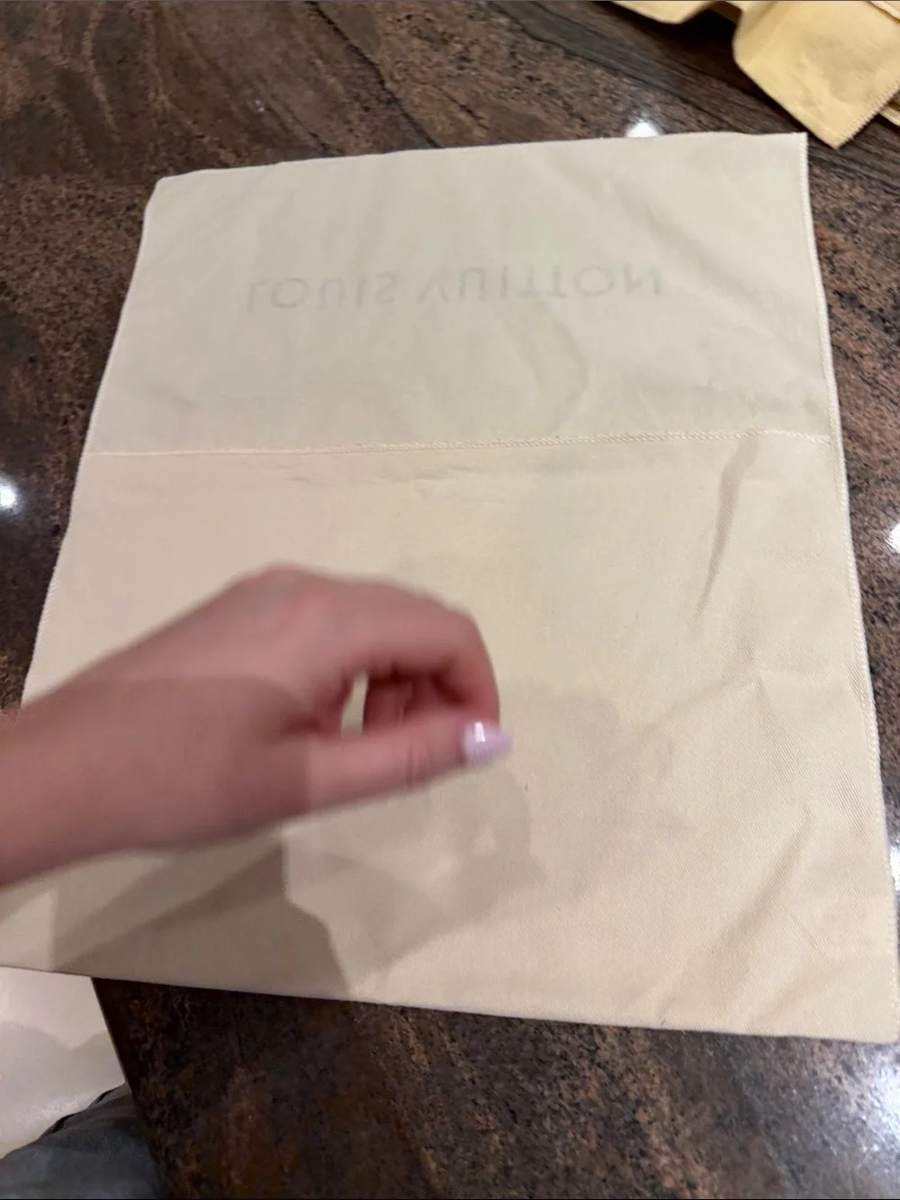 Louis Vuitton Dust Bag